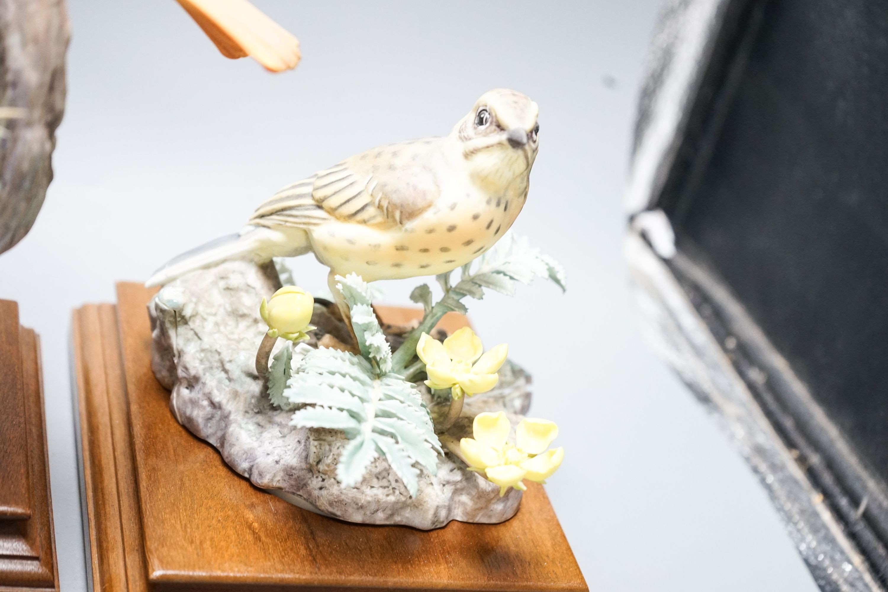 Three Royal Worcester porcelain groups of birds, modelled by Dorothy Doughty - ‘’Redstart and Gorse’’, (hen and cock) and ‘’Meadow Pipit and Silverweed’’, each with certificates